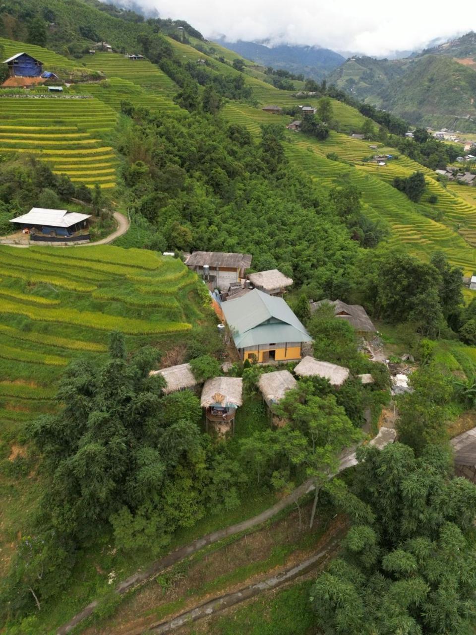 Eco Hills Homestay Шапа Екстер'єр фото